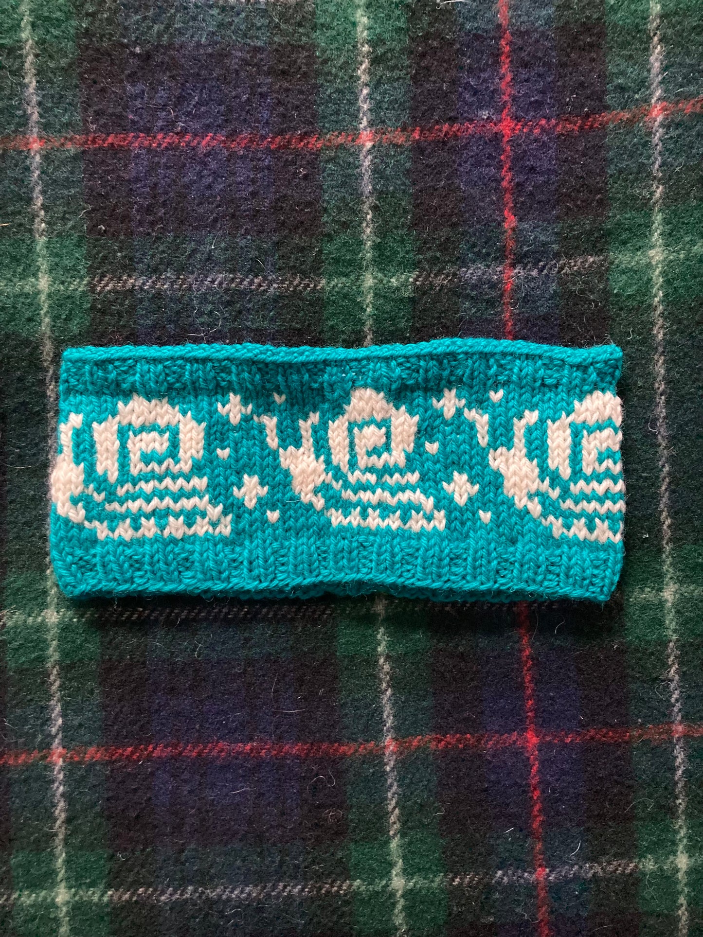 Snails Headband
