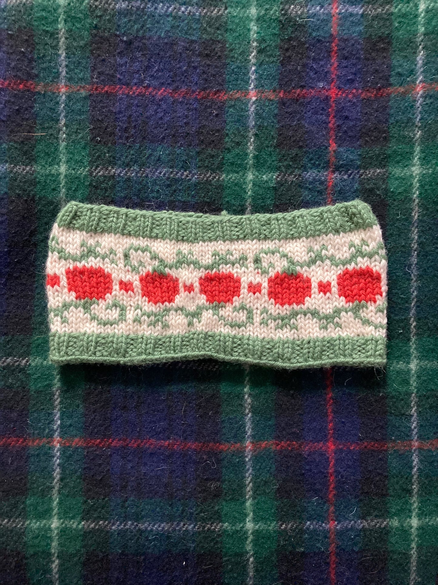 Pumpkins Headband