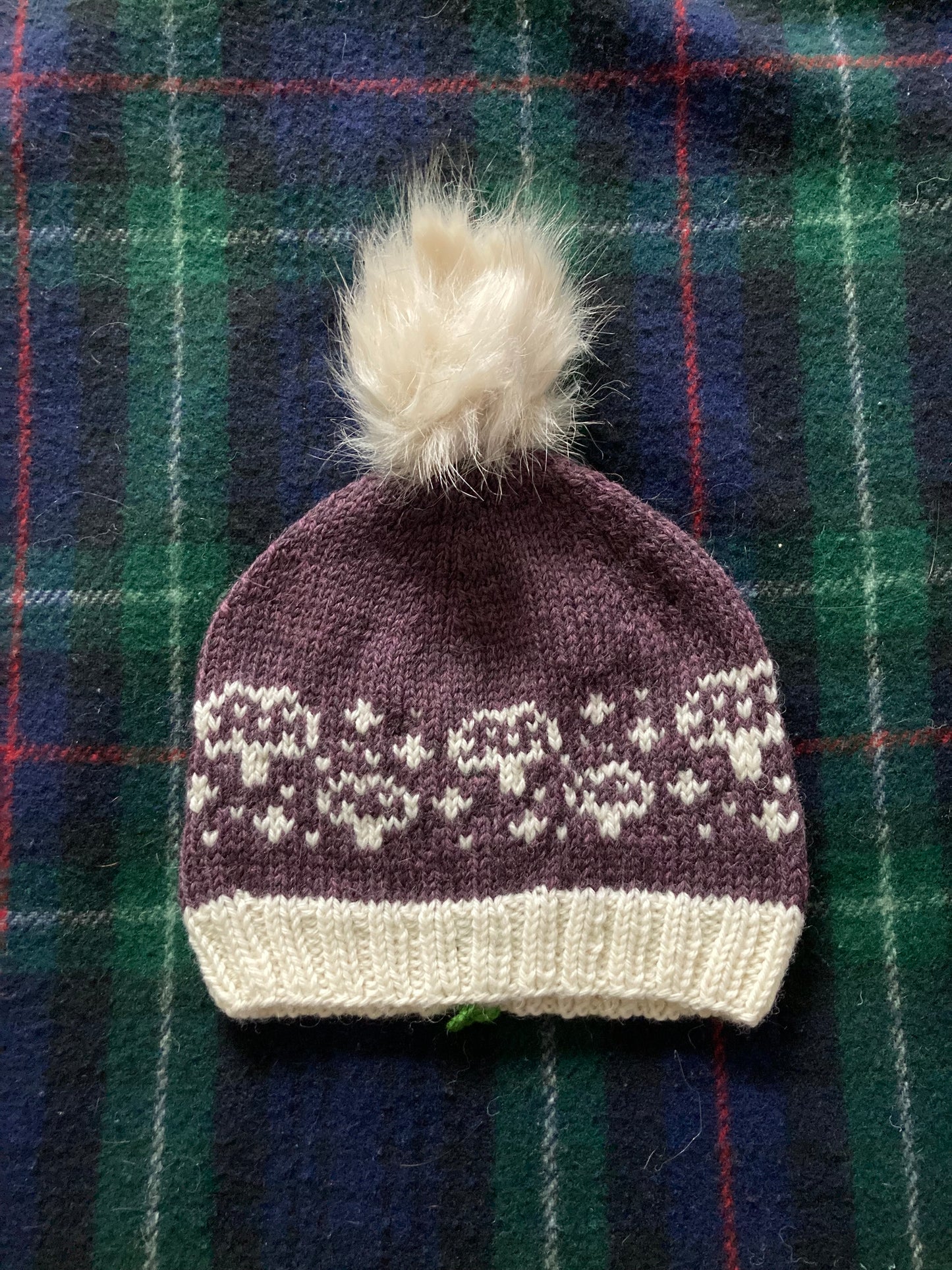 Mushrooms Hat