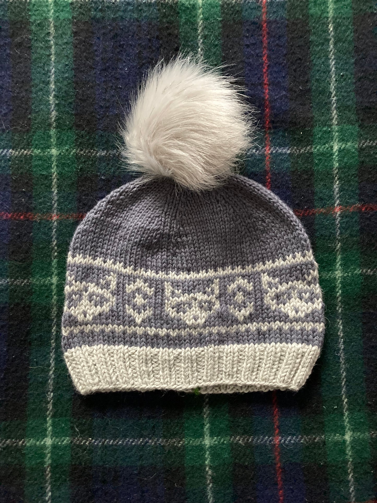 Raccoon Hat