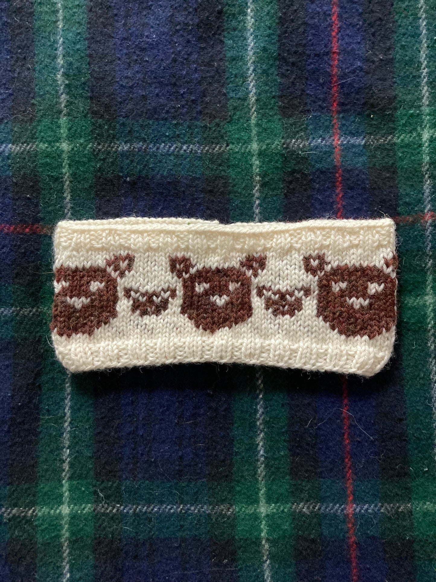 Bears Headband