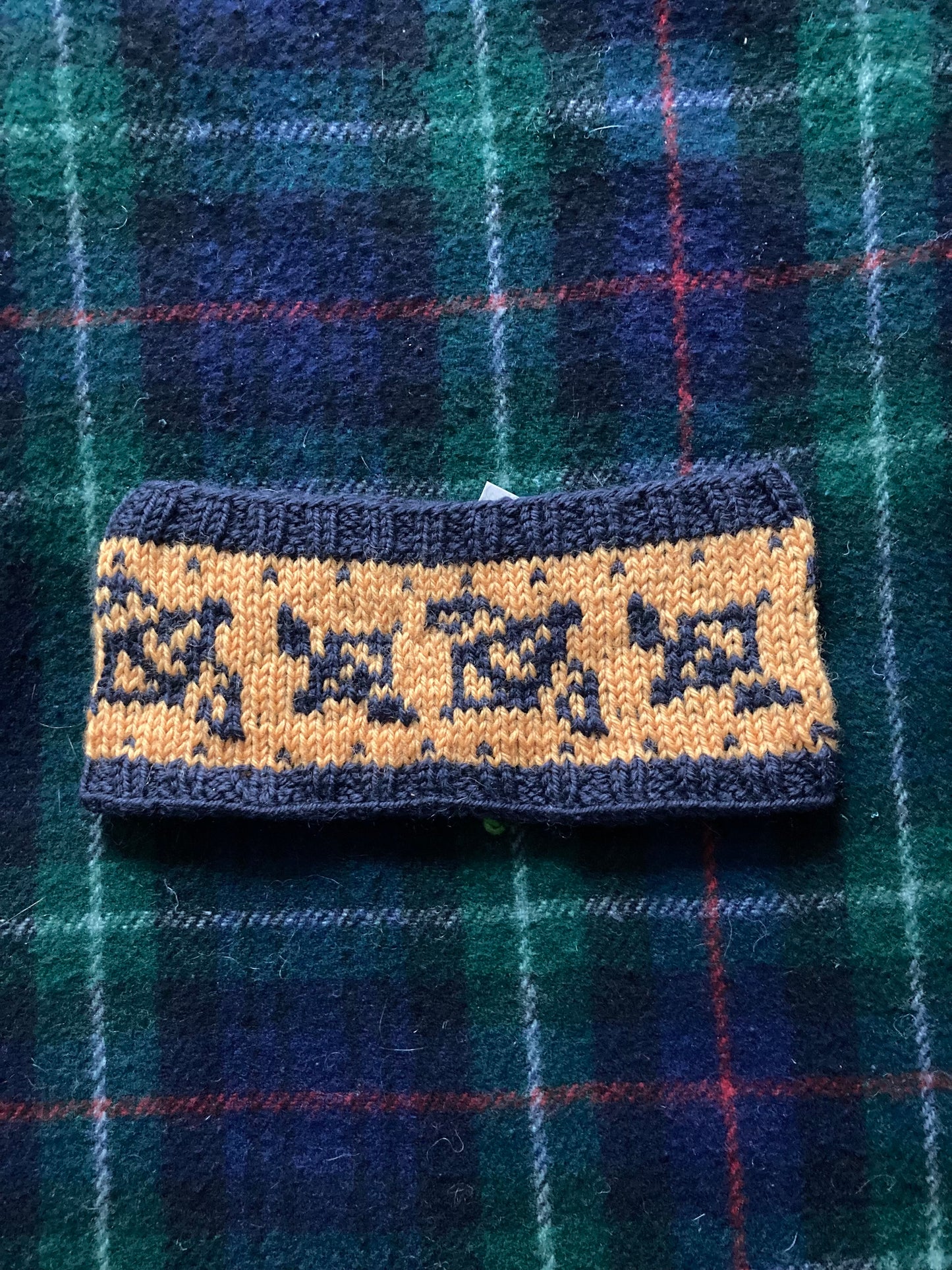 Bumblebees Headband