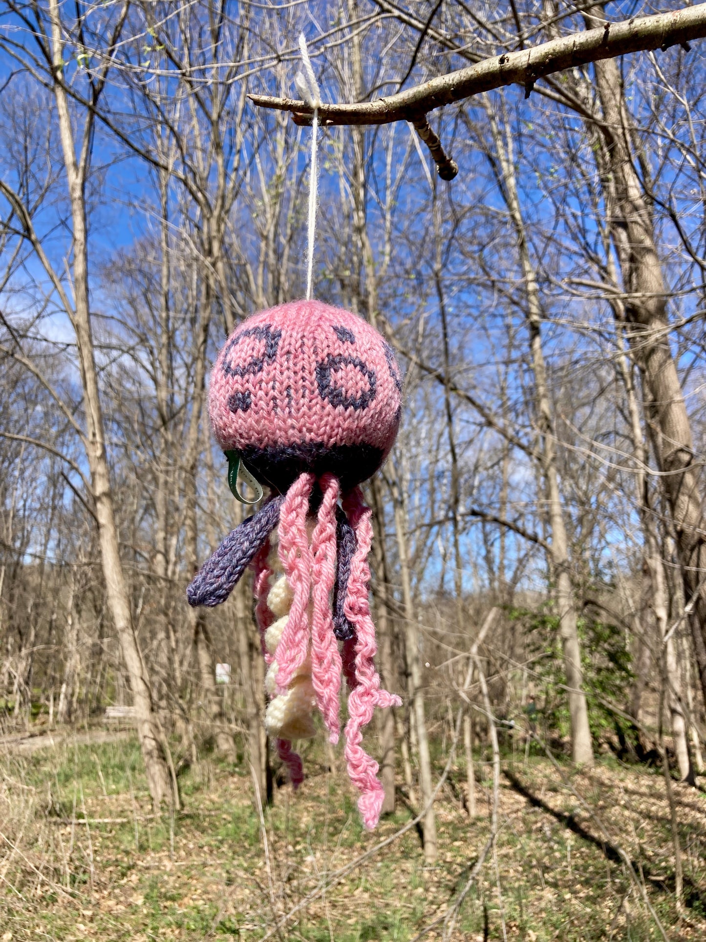 Jellyfish (Small)