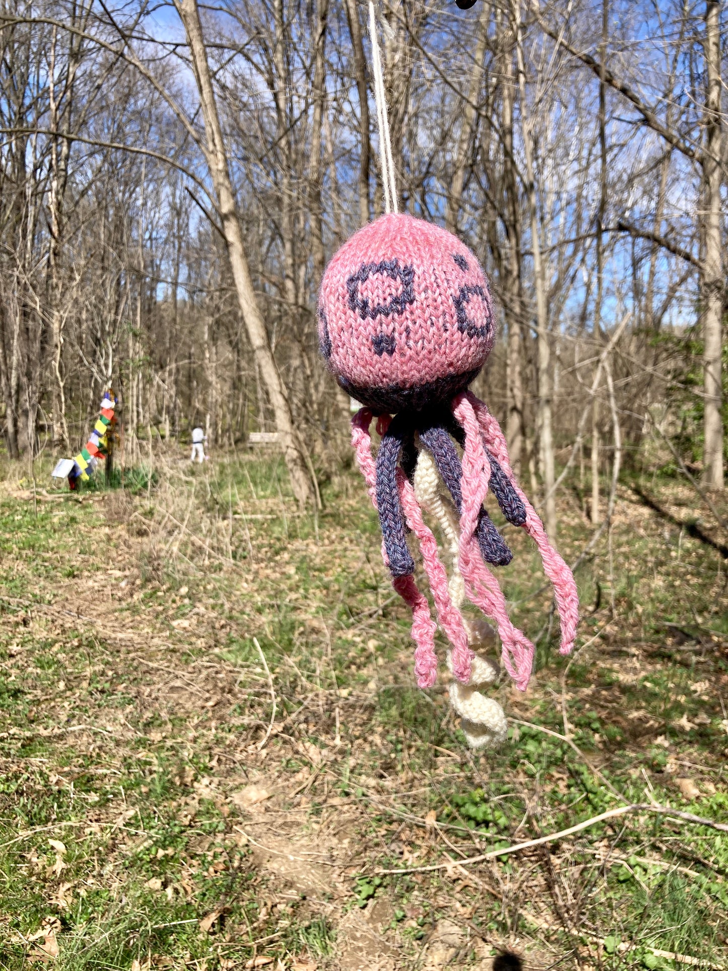 Jellyfish (Small)
