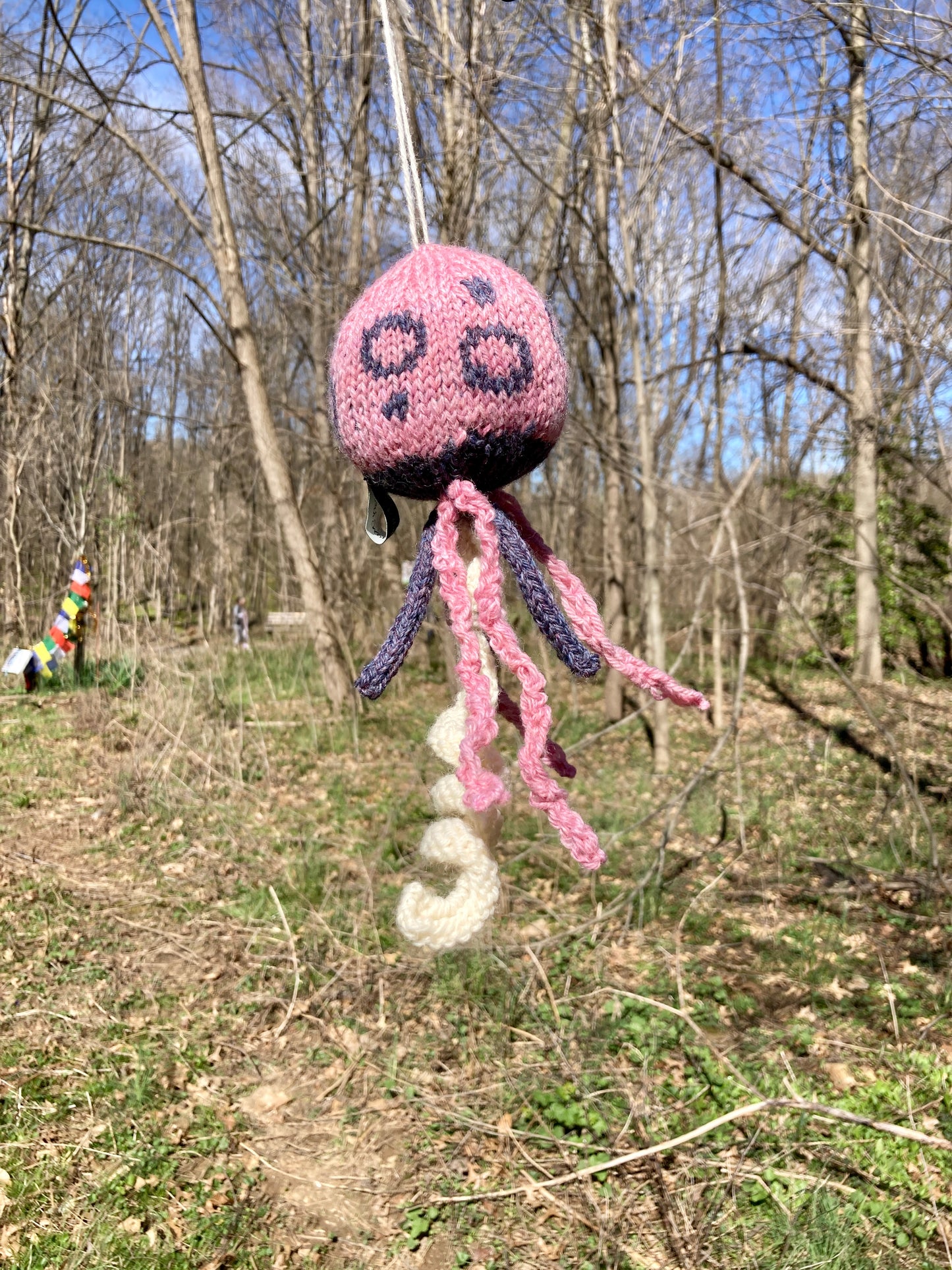 Jellyfish (Small)